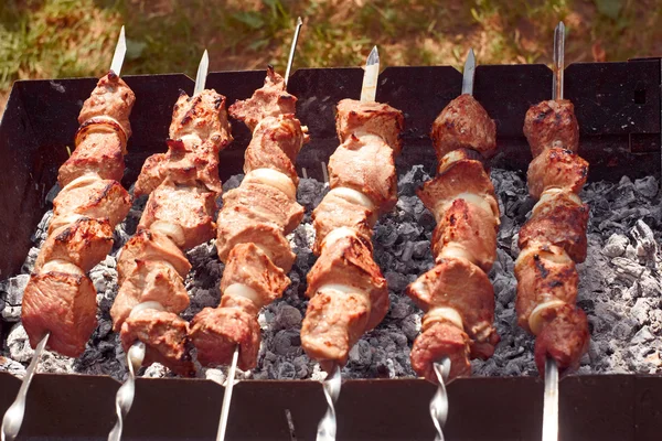 Shish kebab sur les brochettes en métal — Photo