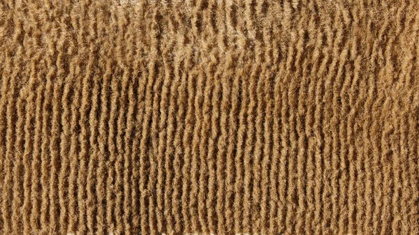 오래 된 베이지색 바닥 카펫 — 스톡 사진