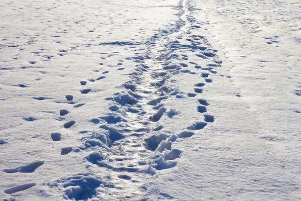 Caminho estreito na neve — Fotografia de Stock