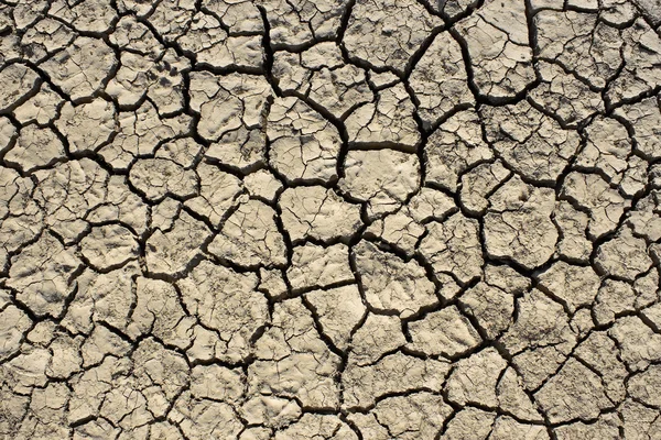 Trockener Boden mit Rissen — Stockfoto