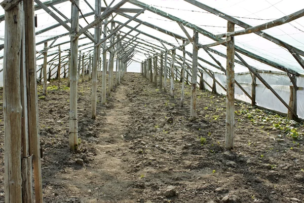 Tom trä växthusgaser innan plantering plantor — Stockfoto