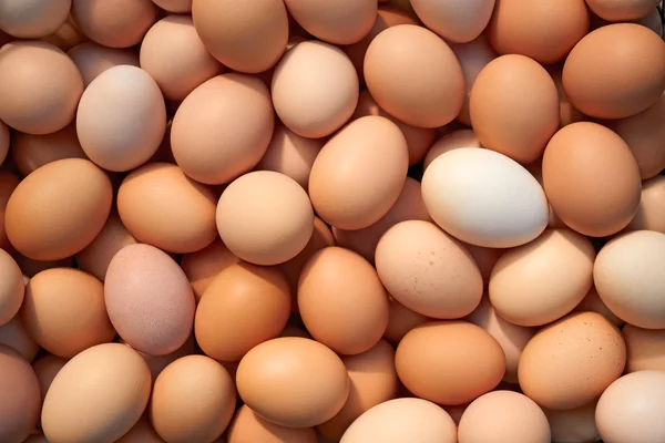 Pico de ovos de galinha — Fotografia de Stock