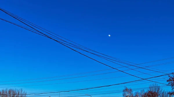 夜晚的月亮在蔚蓝无云的天空中 许多电线和树梢在前方 — 图库照片