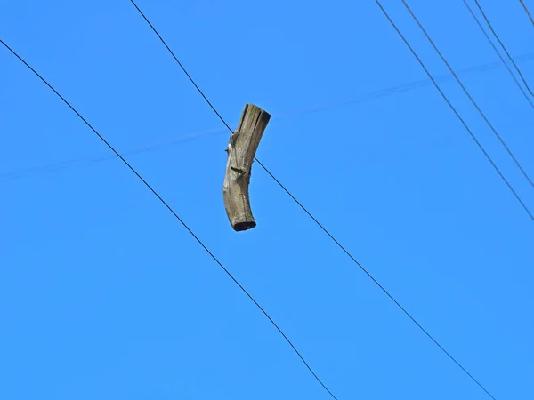 Detail Dried Wooden Branch Hanging Wire Background Blue Cloudless Sky — Stock Photo, Image