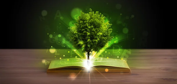 Öppen bok med magiska gröna träd och ljusstrålar — Stockfoto