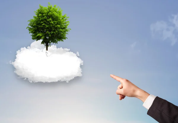 Hand pointing at a green tree on top of a white cloud — Stock Photo, Image