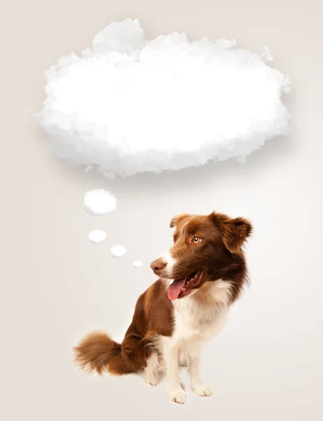 Söpö koira tyhjä pilvi kupla — kuvapankkivalokuva