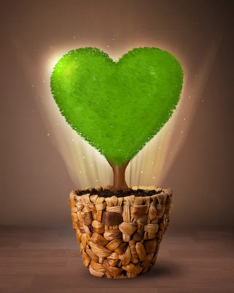 Eco árbol del corazón que sale de maceta — Foto de Stock