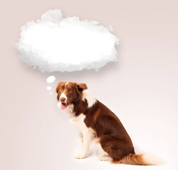 Lindo perro con burbuja de nube vacía —  Fotos de Stock
