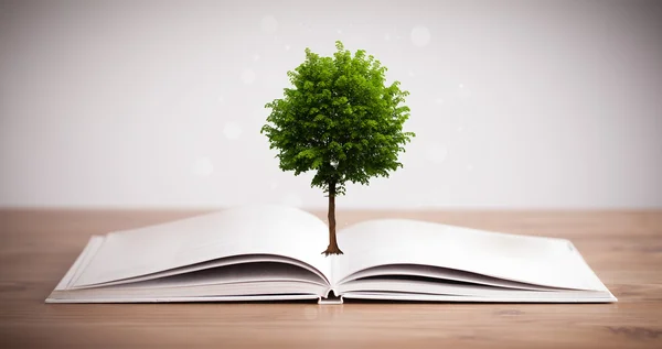 Nyitott könyvből növő fa — Stock Fotó