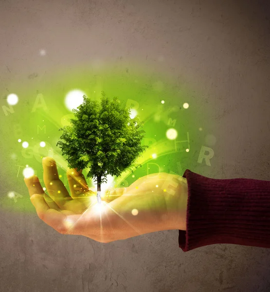 Glowing tree growing in the hand of a woman — Stock Photo, Image