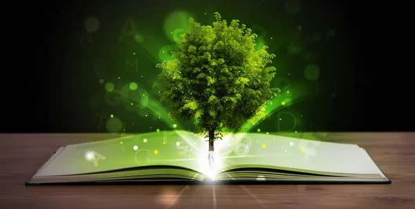 Open book with magical green tree and rays of light — Stock Photo, Image