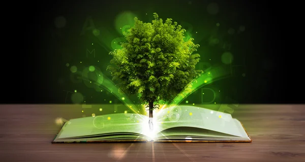 Libro abierto con árbol verde mágico y rayos de luz —  Fotos de Stock