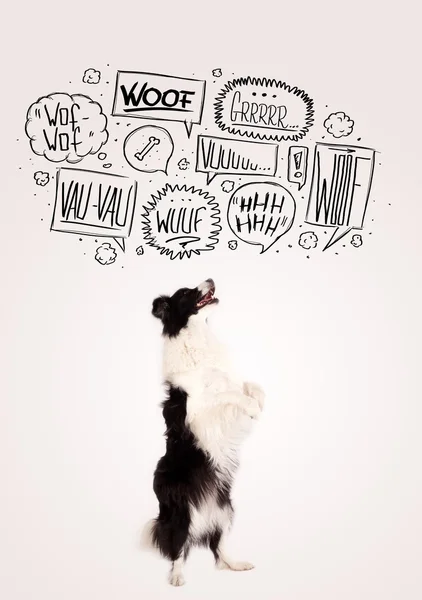 Söt hund med skällande bubblor — Stockfoto
