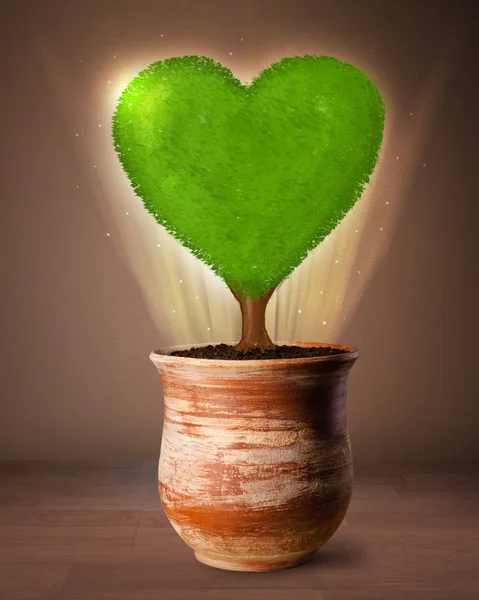 Eco árbol del corazón que sale de maceta — Foto de Stock