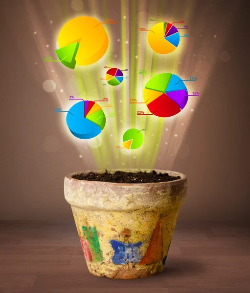 植木鉢から出てくるチャート — ストック写真