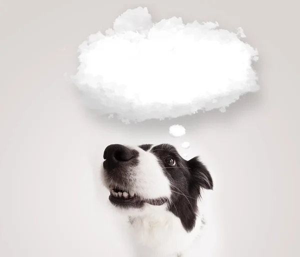 Cute dog with empty cloud bubble — Stock Photo, Image