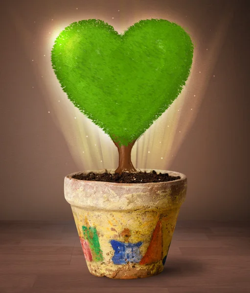 Eco árbol del corazón que sale de maceta — Foto de Stock