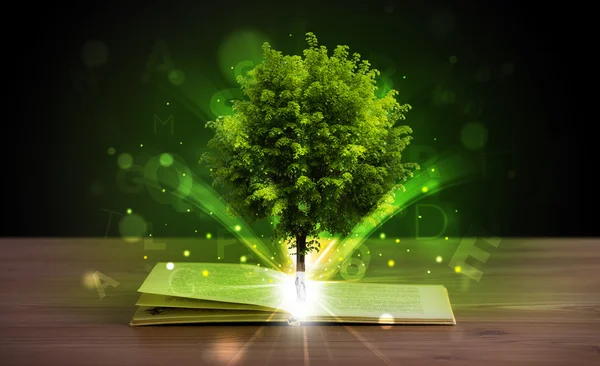 Libro aperto con magico albero verde e raggi di luce — Foto Stock