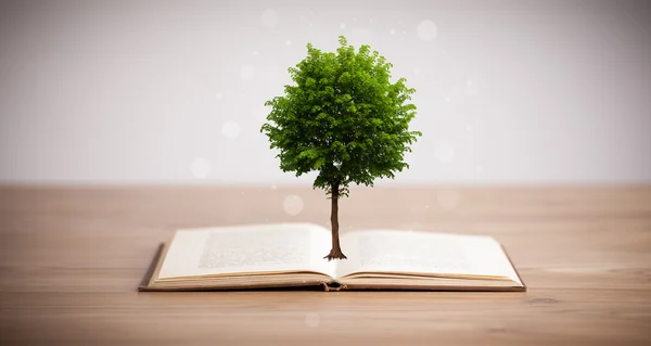Tree growing from an open book