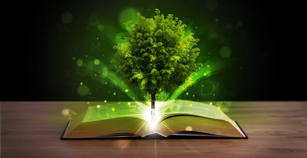 Libro aperto con magico albero verde e raggi di luce — Foto Stock