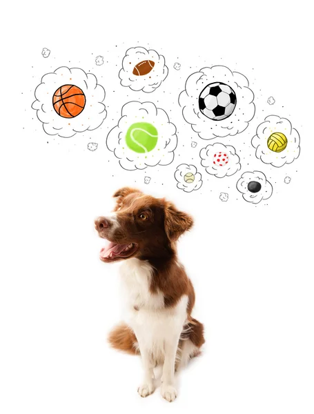 Cute dog with balls in thought bubbles — Stock Photo, Image