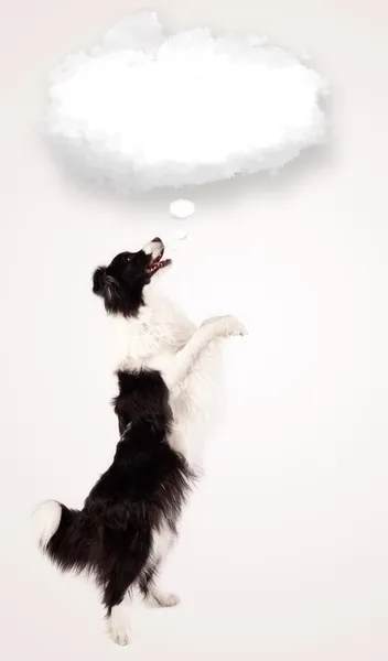 Leuke hond met lege wolkenzeepbel — Stockfoto