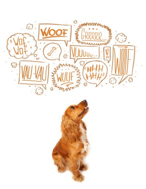 Havlayan köpüklü şirin bir köpek.