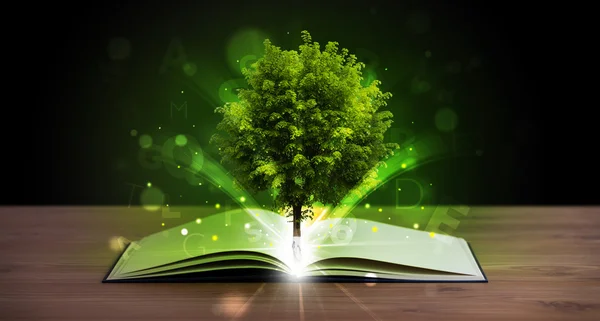 Libro aperto con magico albero verde e raggi di luce — Foto Stock