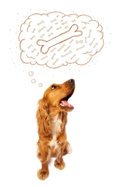 Cute dog with thought bubble thinking about a bone — Stock Photo, Image