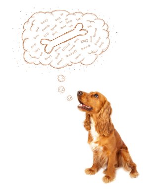 sevimli köpek kemik kabarcık düşünerek düşündüm