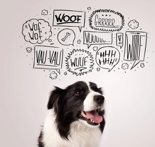 Cute dog with barking bubbles — Stock Photo, Image