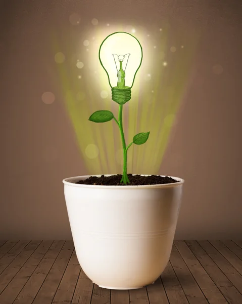 Lightbulb plant coming out of flowerpot — Stock Photo, Image