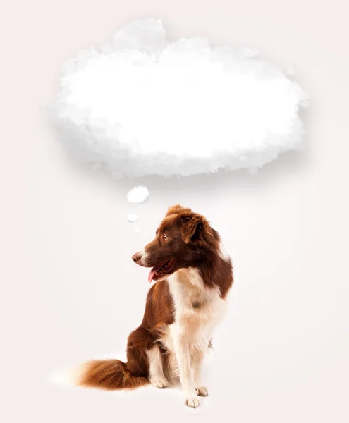 Cute dog with empty cloud bubble — Stock Photo, Image