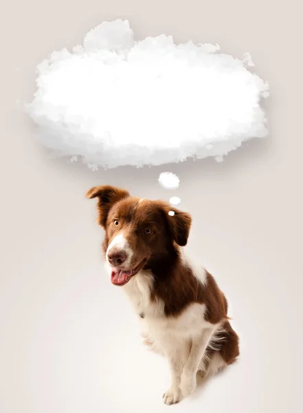 Cute dog with empty cloud bubble — Stock Photo, Image