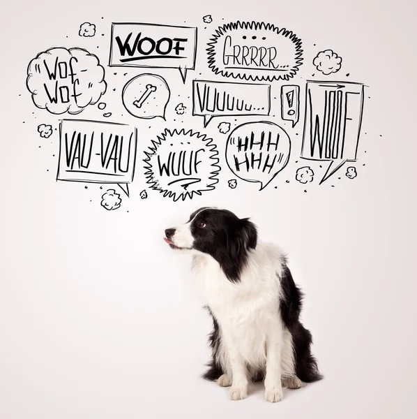 Cute dog with barking bubbles — Stock Photo, Image