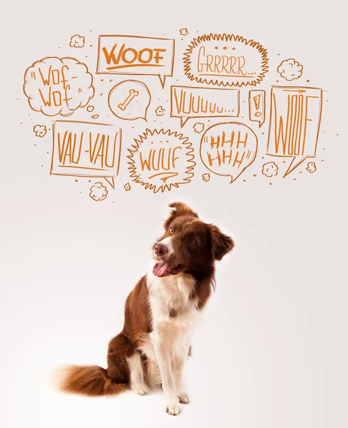 Cute dog with barking bubbles — Stock Photo, Image