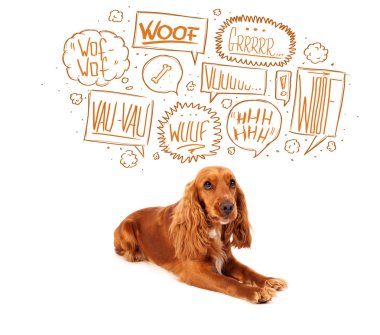 Havlayan köpüklü şirin bir köpek.