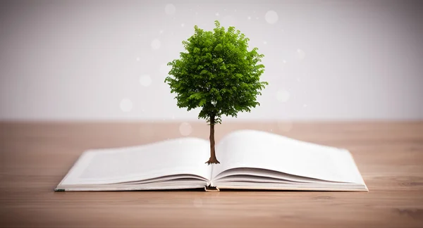 Tree growing from an open book — Stock Photo, Image