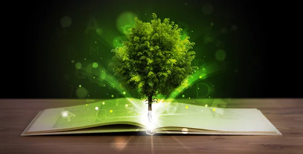 Open book with magical green tree and rays of light — Stock Photo, Image