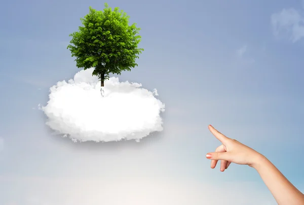 Рука указывает на зеленое дерево на вершине белого облака — стоковое фото