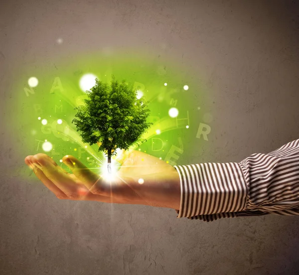 Glowing tree growing in the hand of a businessman — Stock Photo, Image