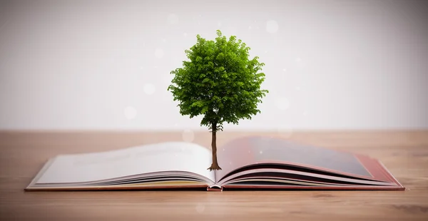 Árbol creciendo de un libro abierto —  Fotos de Stock