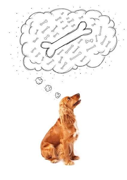 Cute dog with thought bubble thinking about a bone — Stock Photo, Image