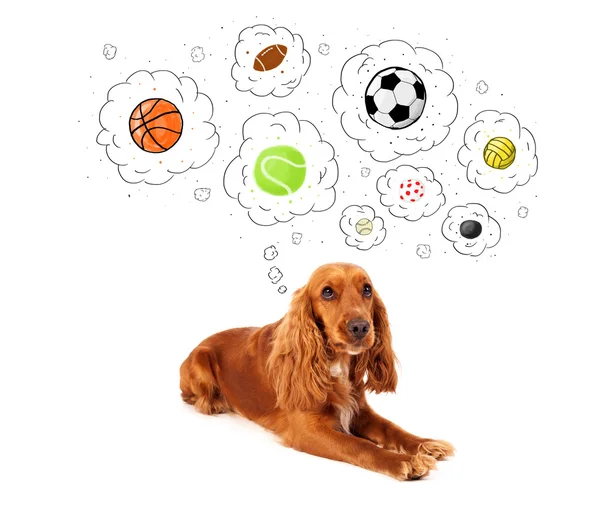 Cute dog with balls in thought bubbles — Stock Photo, Image