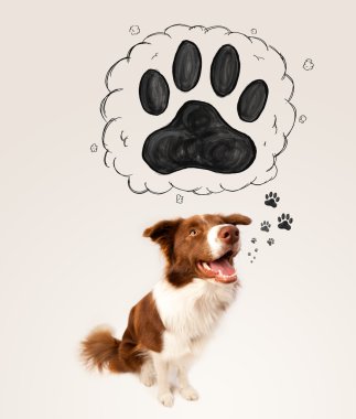 Başının üstünde patisi olan şirin bir çoban köpeği.