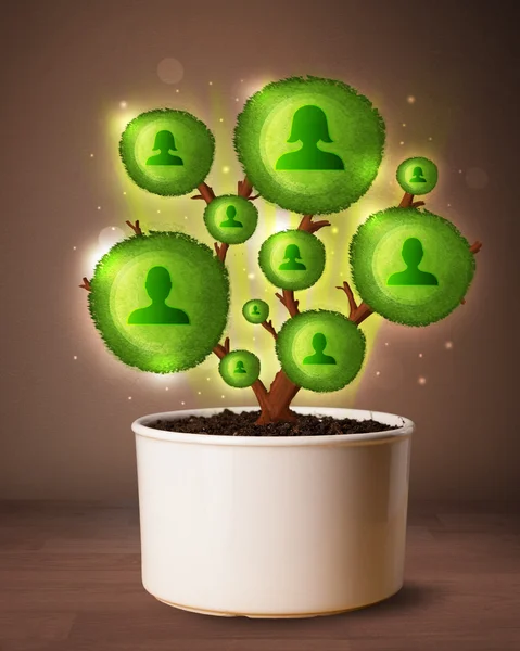 Social network tree coming out of flowerpot — Stock Photo, Image