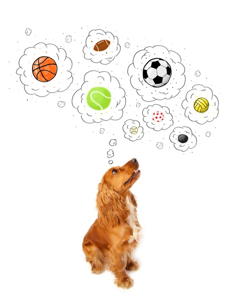 Cão bonito com bolas em bolhas de pensamento — Fotografia de Stock