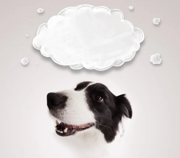 Niedlicher Border Collie mit leeren Wolken — Stockfoto