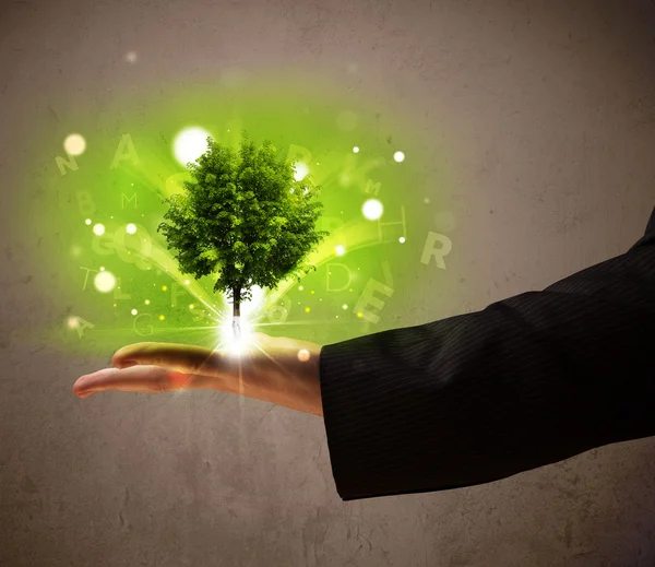 Светящееся дерево растет в руках бизнесмена — стоковое фото